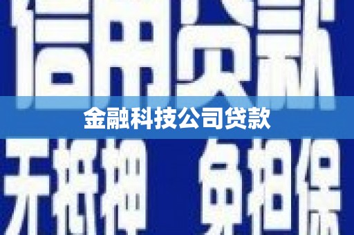 亭湖金融科技公司贷款