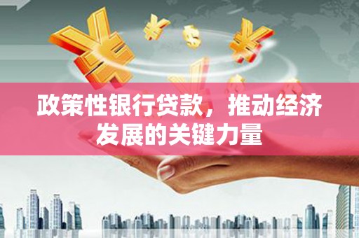 大寮政策性银行贷款，推动经济发展的关键力量