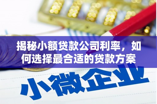 三峡揭秘小额贷款公司利率，如何选择最合适的贷款方案