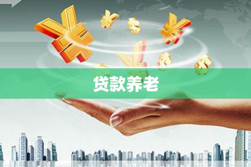 文登贷款养老