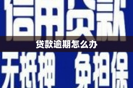 扶绥贷款逾期怎么办