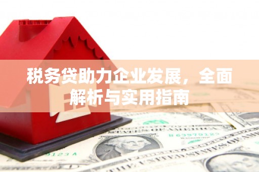 天河税务贷助力企业发展，全面解析与实用指南