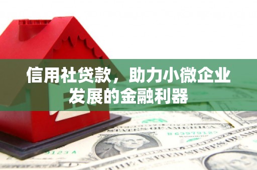 洞头信用社贷款，助力小微企业发展的金融利器