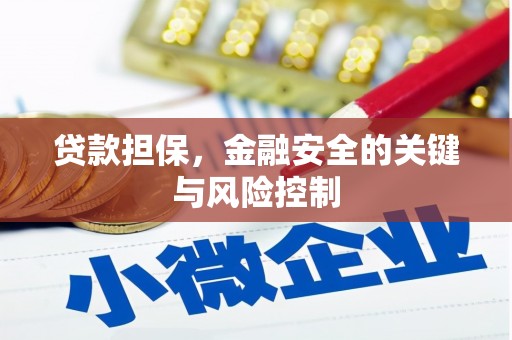 新昌贷款担保，金融安全的关键与风险控制