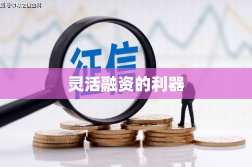 称多灵活融资的利器
