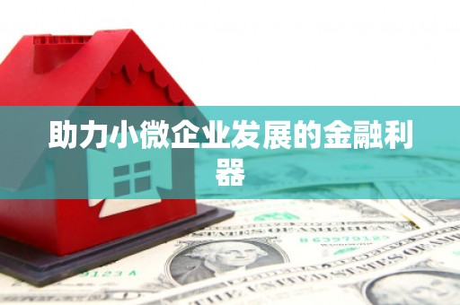 启东助力小微企业发展的金融利器
