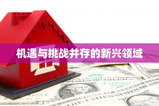 佳冬机遇与挑战并存的新兴领域