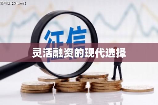 巴中灵活融资的现代选择