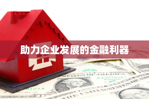 陆丰助力企业发展的金融利器