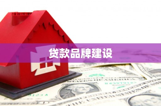 新泰贷款品牌建设