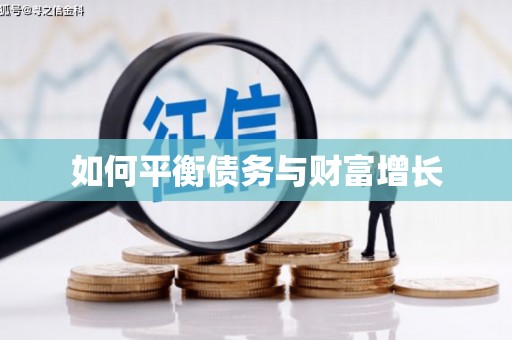 洮北如何平衡债务与财富增长