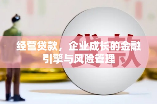 三都经营贷款，企业成长的金融引擎与风险管理