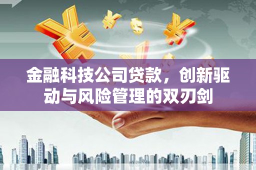 云和金融科技公司贷款，创新驱动与风险管理的双刃剑